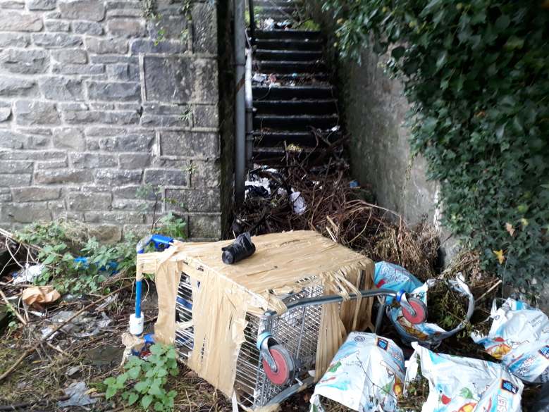 69971427_1365162120299619_7215128926488625152_n